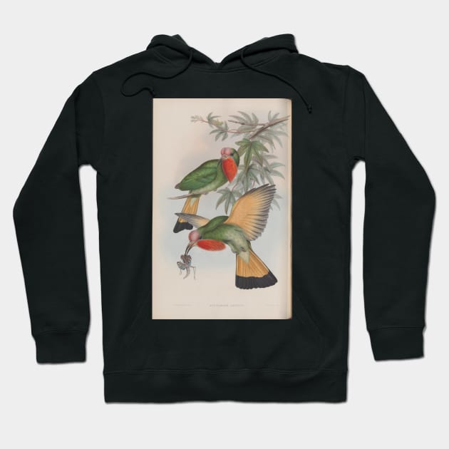 Two birds Hoodie by pocketlama